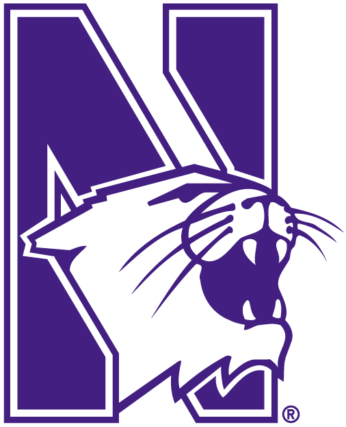 Northwestern Wildcats 1981-Pres Alternate Logo diy iron on heat transfer
